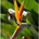 btm02sf profile picture