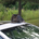 cssys profile picture