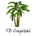 Tiki Bar Capital profile picture