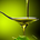 Oleum Research profile picture
