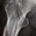 nkalakatta profile picture