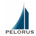Pelorus Capital profile picture
