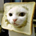 catfacesupreme profile picture