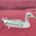 synergen profile picture