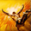 ICARUS A M profile picture