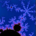 xray67 profile picture
