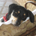 NINK profile picture