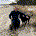 tom117 profile picture