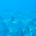 HsterInvestigates profile picture