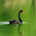 Z-alpha Trading System profile picture