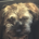azarlee profile picture