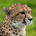 JM Trader profile picture