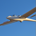 watchingfromabove profile picture