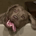 rookster profile picture
