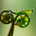 Osmium Research profile picture