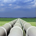 PipelineDancer profile picture
