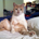Keekadookie profile picture