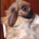 Leo Rotter profile picture