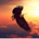 EagleFirst profile picture