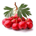 Balthazar-B profile picture