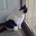 Jay14150 profile picture