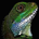 akvadrako profile picture