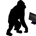 Orangutan Capital profile picture
