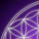 Sim Symmetry profile picture