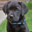 The Deacon profile picture