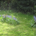 Rycote Manor profile picture