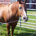 cemanuel profile picture