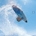 2x_Overhead profile picture