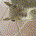 Mooneym20j profile picture