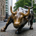 The Insightful Investor profile picture