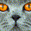 Bocaita profile picture