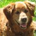 ced1106 profile picture