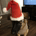 n0obInvestor profile picture