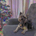 Dave_KC profile picture