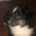 SANCH3Z profile picture