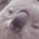 Mr. Gumbo profile picture