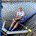 alphavestcapital profile picture