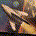 Dave Wo profile picture