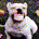 TimUwe profile picture