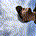 mzagotti profile picture