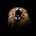 SA Analyst Are Bag Holders profile picture