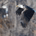 Eagle Watcher profile picture
