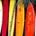 BuckingTrends profile picture