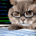 losemoneyfast profile picture