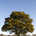 Oakridge Trading profile picture