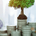 The Wealth Wizard profile picture